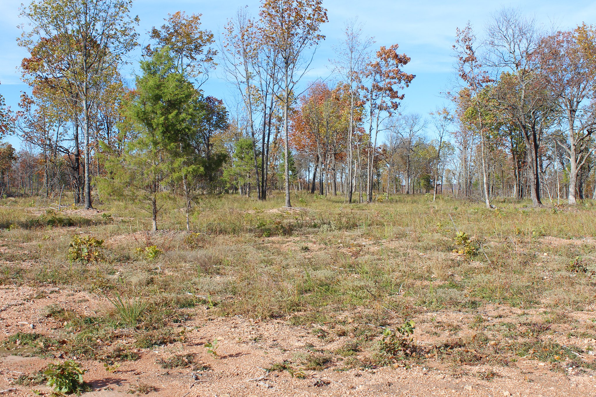 Tract 12 - OKLAHOMA LAND & REAL ESTATE AUCTION, 438 +/- Acres offered in 13 Tracts